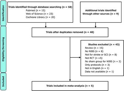 The effects of robot-assisted gait training combined with non-invasive brain stimulation on lower limb function in patients with stroke and spinal cord injury: A systematic review and meta-analysis